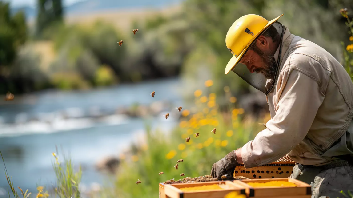 Beekeeping Header Image