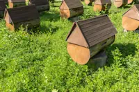 How to Build Your Own Beehive