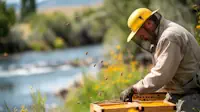 The Best Time to Start Beekeeping